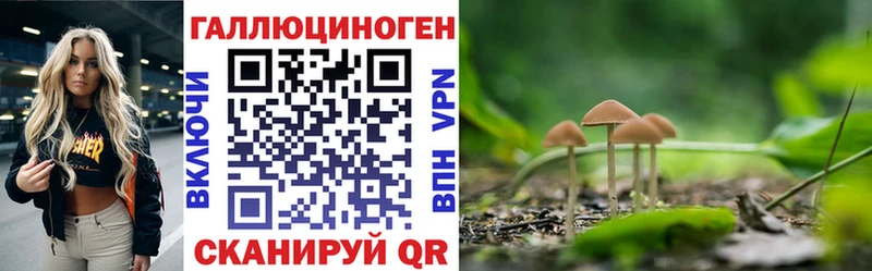купить   Воскресенск  кракен tor  Псилоцибиновые грибы ЛСД 